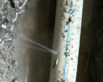 鄂尔多斯卫生间测漏水多少钱